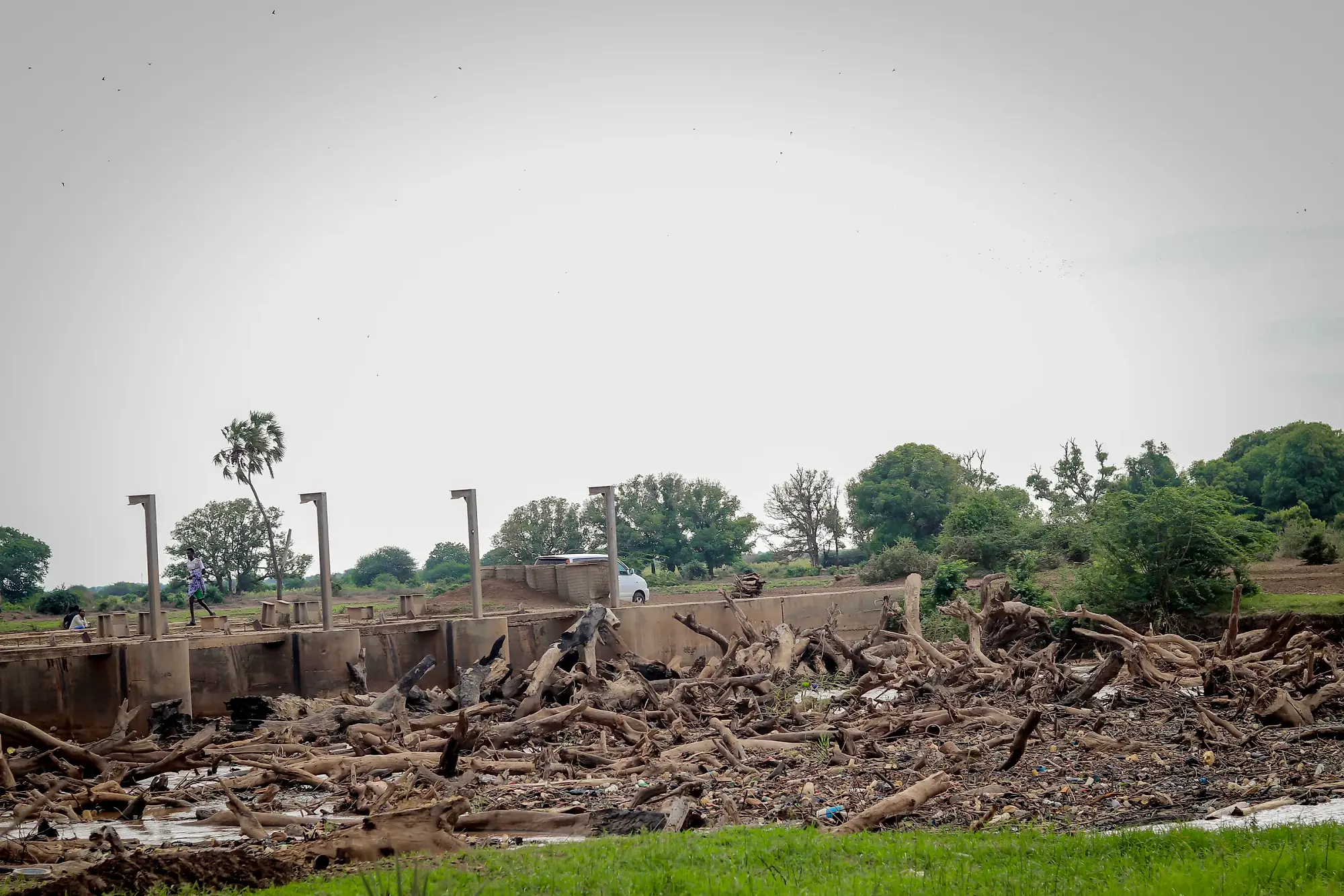 A concrete barrage with a mass of driftwood and debris piled against its upstream face.