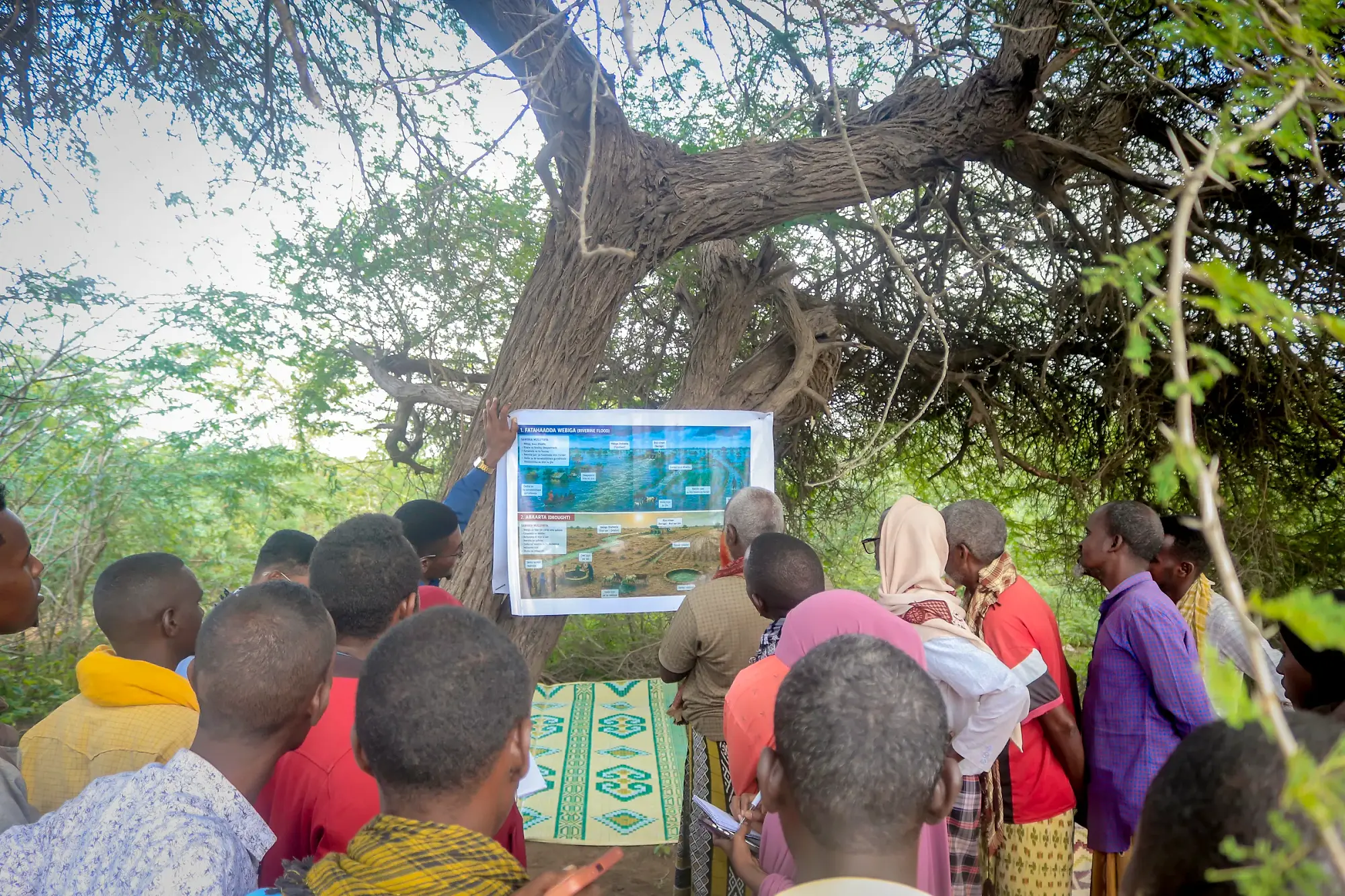 Participants pressing in close around a large illustrated map board, several pointing at the same detail.