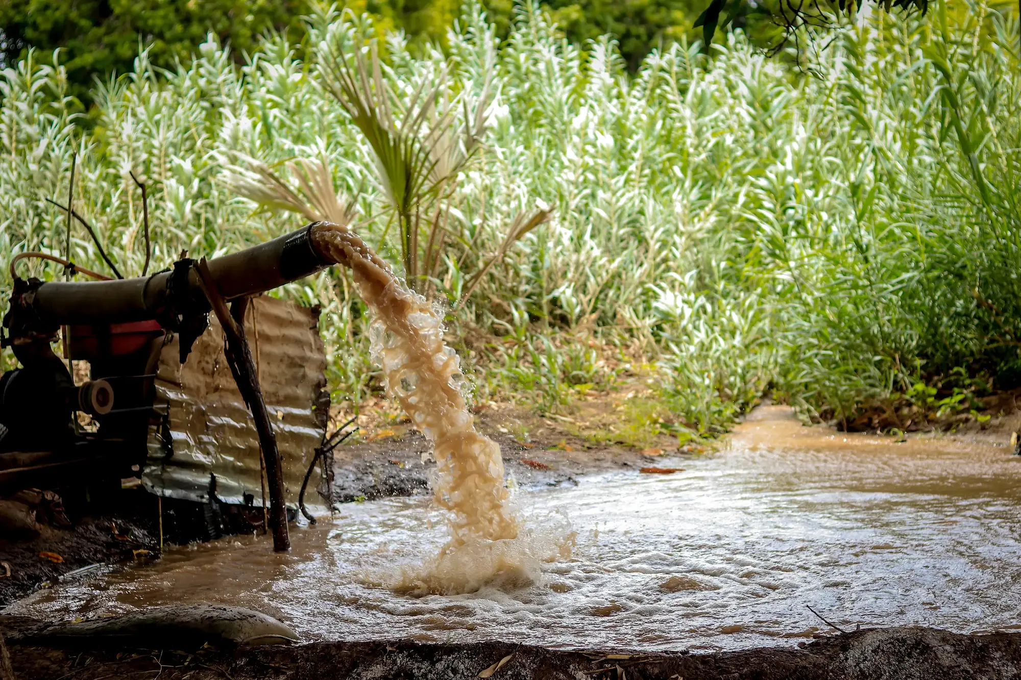 A jet of brown water arcing from a pipe down into a channel below.