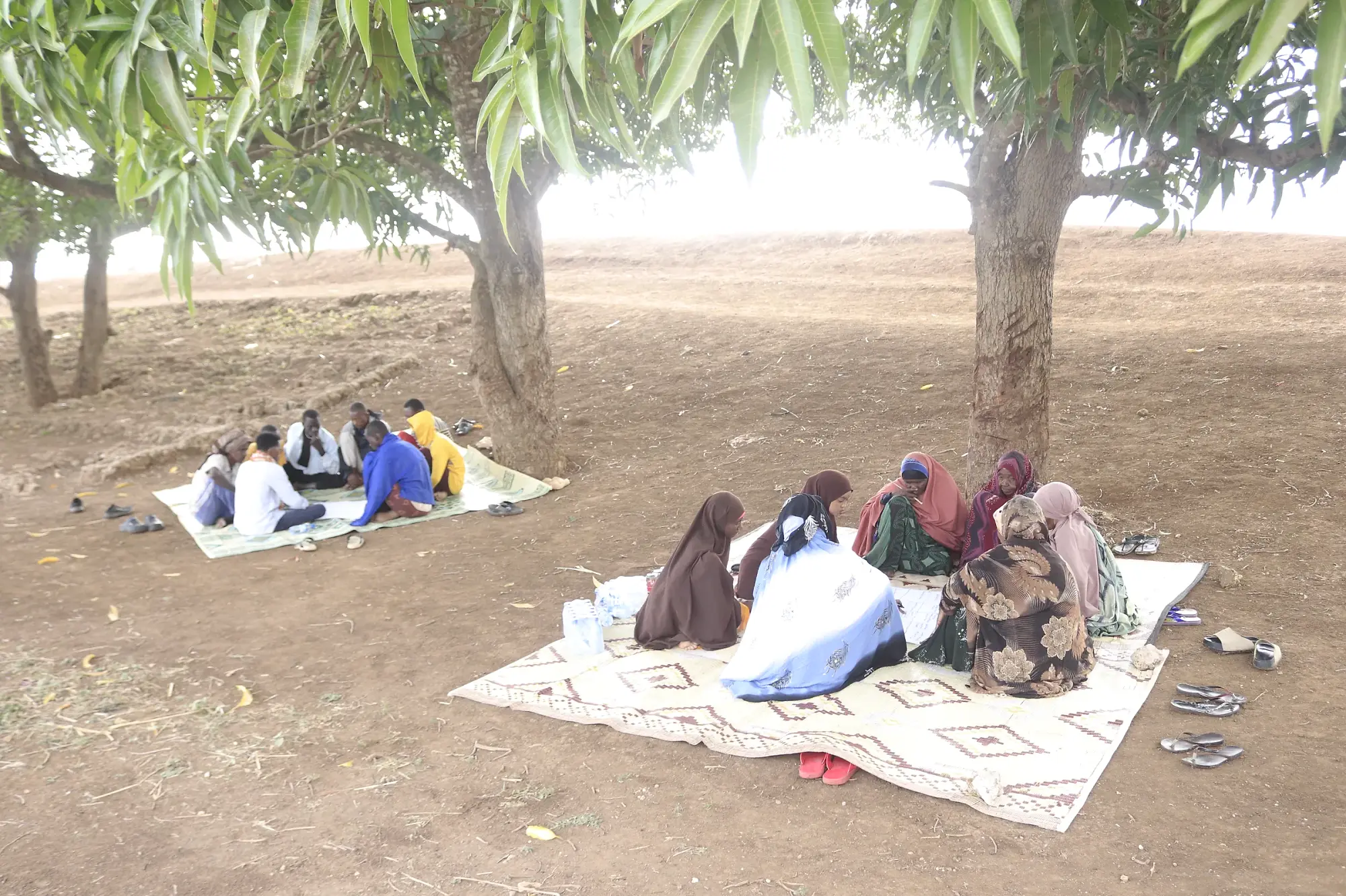 A women-only group seated on a mat in the shade of the trees, in conversation.